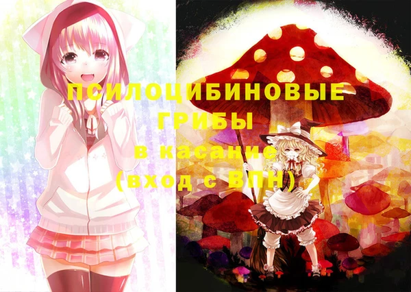 крисы Аркадак