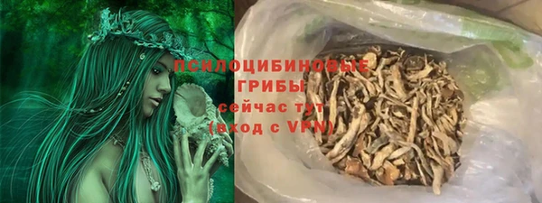крисы Аркадак
